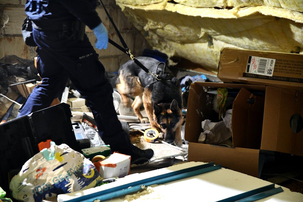 Policja rozbiła grupę z nielegalną bronią. Zabezpieczono arsenał