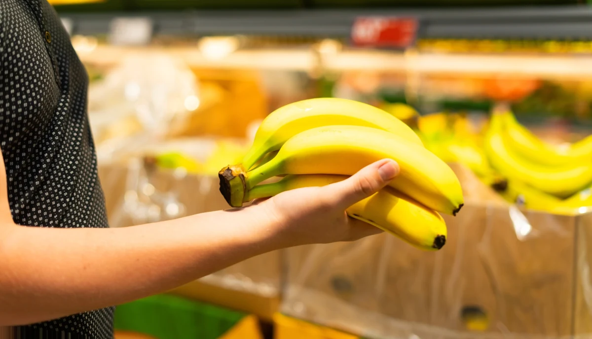 Nietypowa sytuacja na Orkadach - archipelagu położonym na północ od wybrzeży Szkocji. Supermarket Tesco w Kirkwall przez pomyłkę zamówił aż 38 tysięcy bananów – niemal dwa razy więcej niż wynosi populacja wysp. Zamiast planowanych 380 kilogramów owoców, do sklepu trafiło 380 hurtowych skrzynek, z których każda zawierała około 100 bananów.