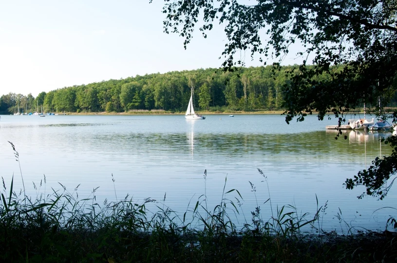 Poznań ma swoje "małe Mazury”. Czyste plaże, marina i sporty wodne