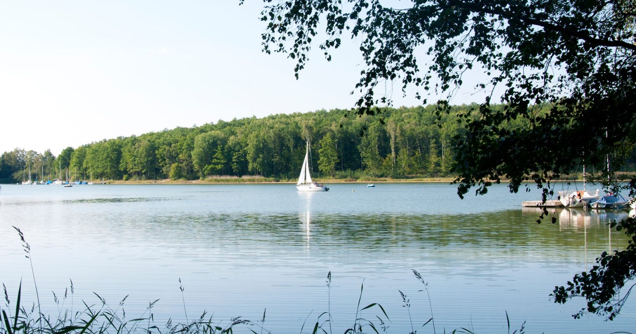 Poznań ma swoje "małe Mazury”. Czyste plaże, marina i sporty wodne