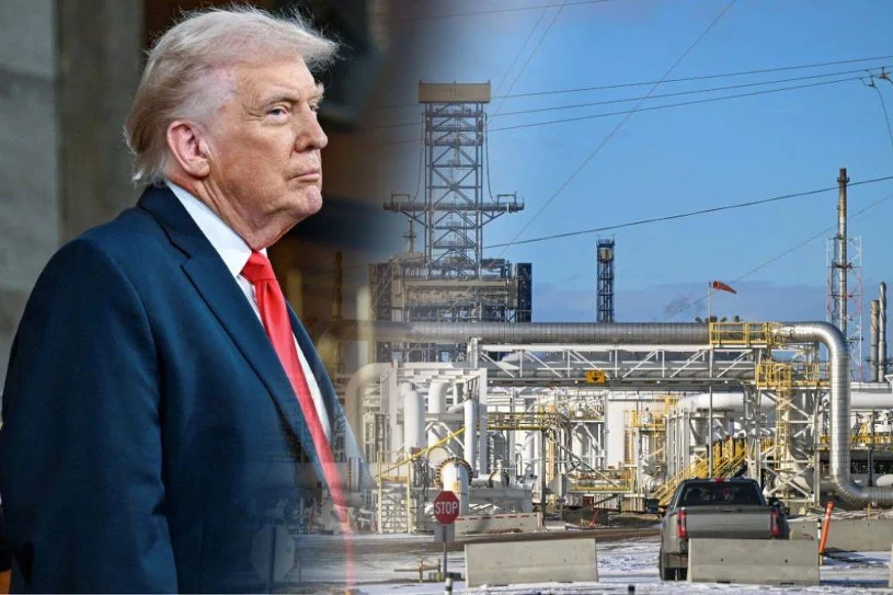 Trump uderzył w sojuszników. "Zbierzcie się na odwagę"