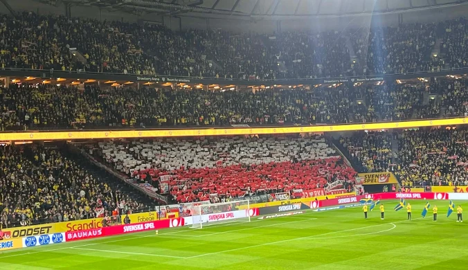 Mocne wsparcie dla polskich piłkarzy. Mnóstwo Polaków na stadionie