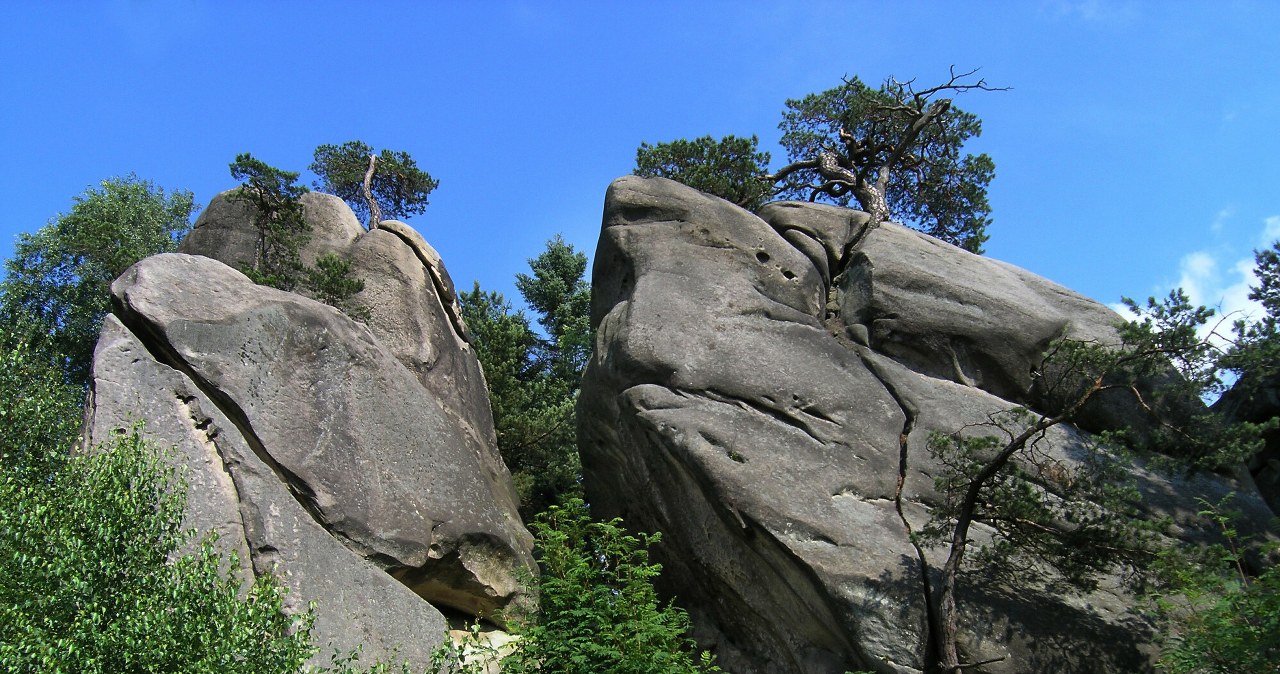 Ukryty skarb Podkarpacia. Niecała godzina od Rzeszowa