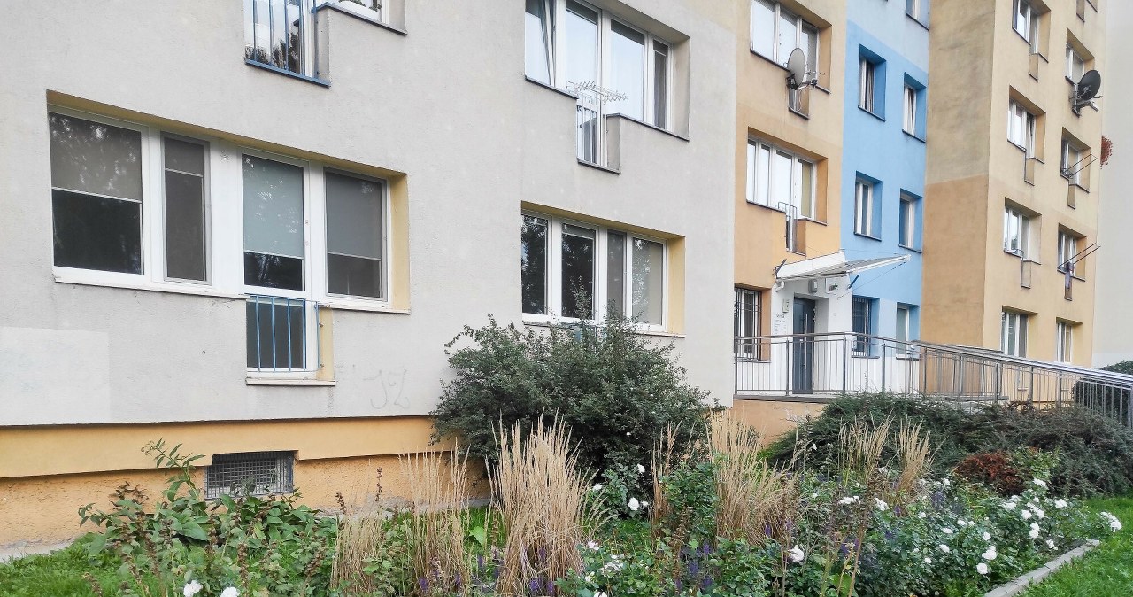 Własny ogródek przed blokiem - czy to legalne? Tylko w takim przypadku