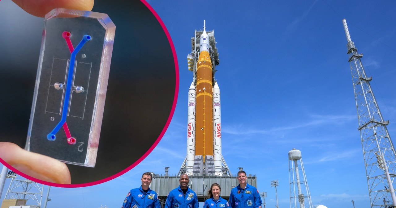 Artemis II. Pionierskie badania biomedyczne w drodze na Księżyc