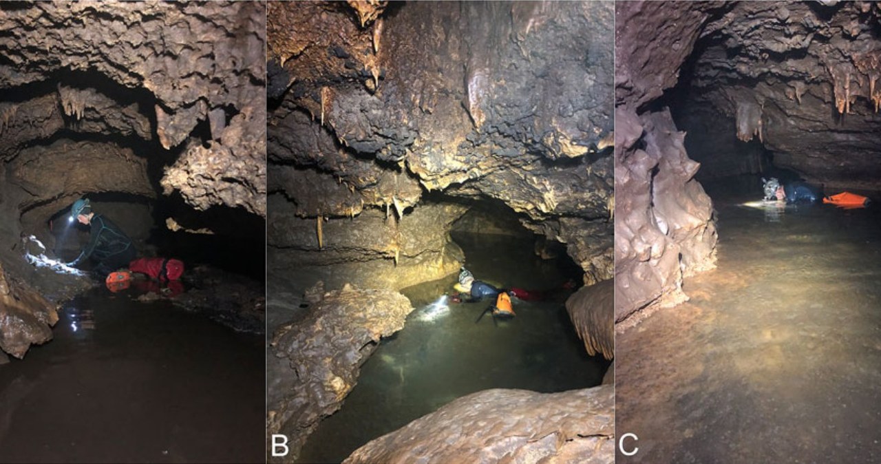 Odkryli w jaskini dziwne skamieliny. Nie powinno ich tam być