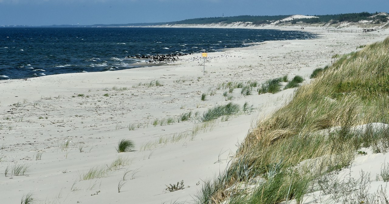 Już nie ma dzikich plaż? Tu są - nieodkryte miejsc e na Mierzei Wiślanej