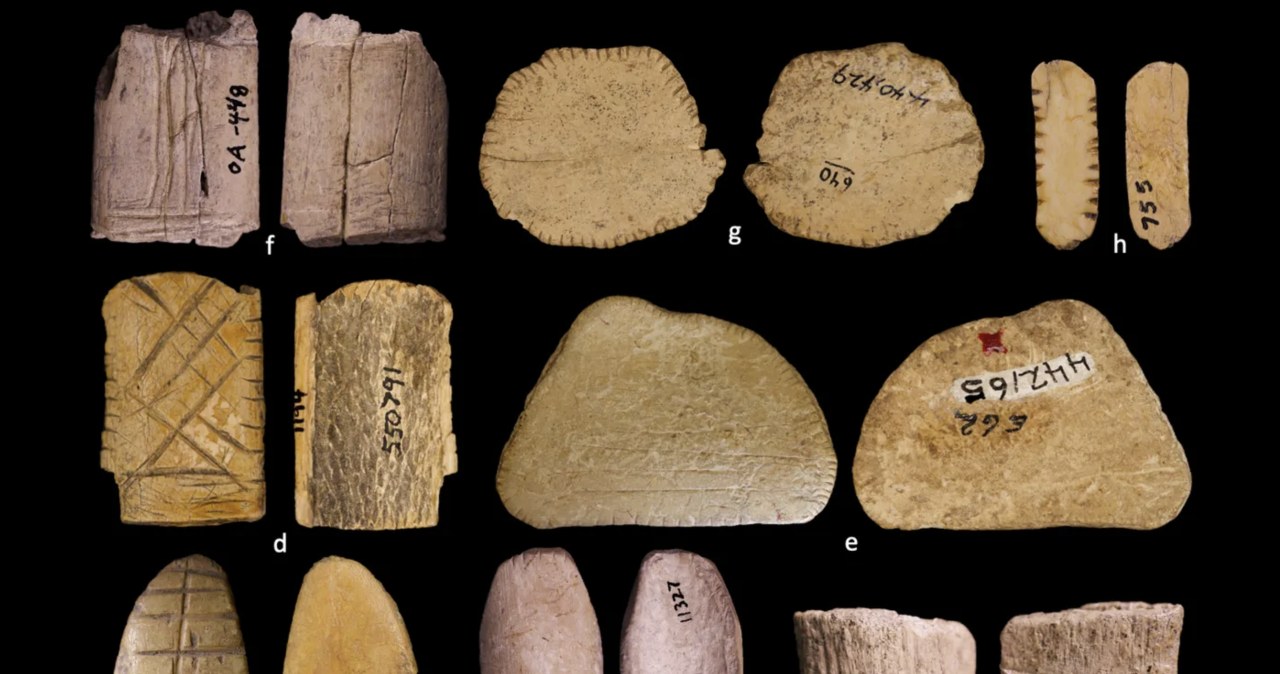 Znaleźli najstarsze kości do gry. Mają ponad 12 tys. lat