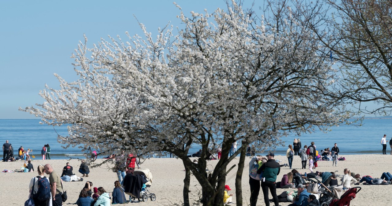 Nad Bałtykiem zaczęli odliczanie. Szykuje się najazd turystów