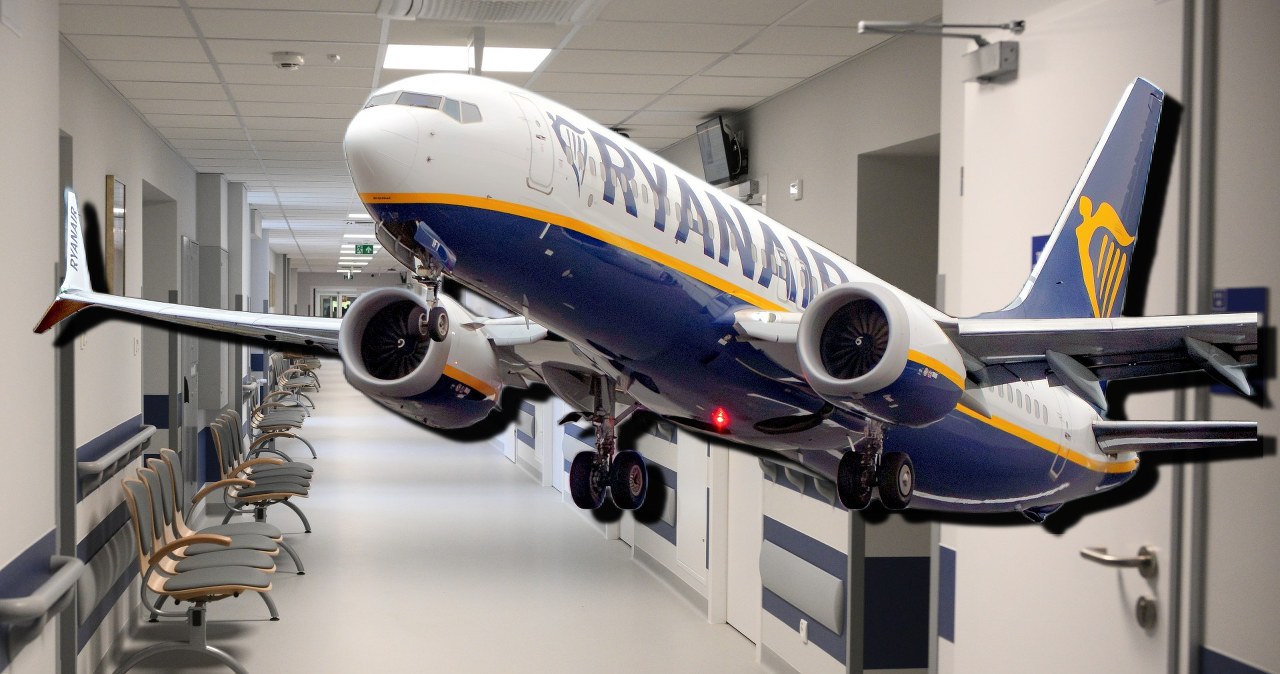 Polacy za granicą wracają do kraju w jednym celu. Ujawnił się nowy trend Polacy za granicą wracają do kraju w jednym celu. Ujawnił się nowy trend