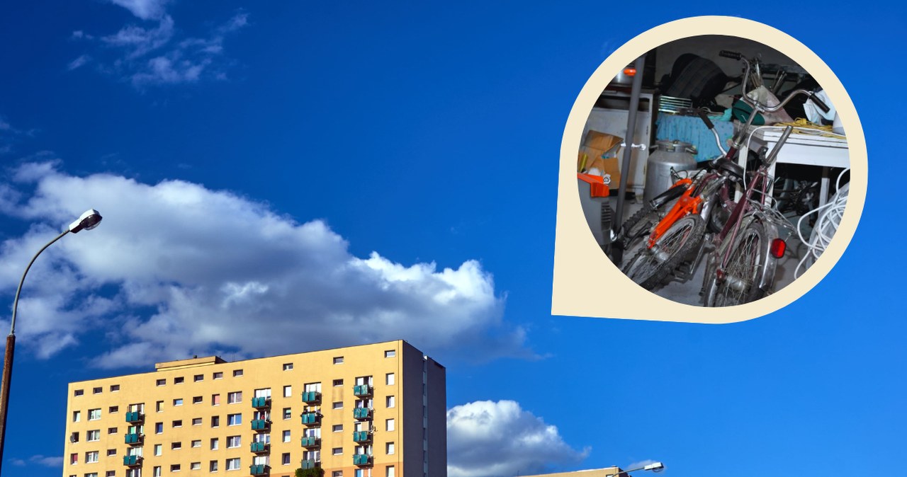 Lista rzeczy zakazanych w piwnicy. Mandat może wynieść choćby 5 tys. zł