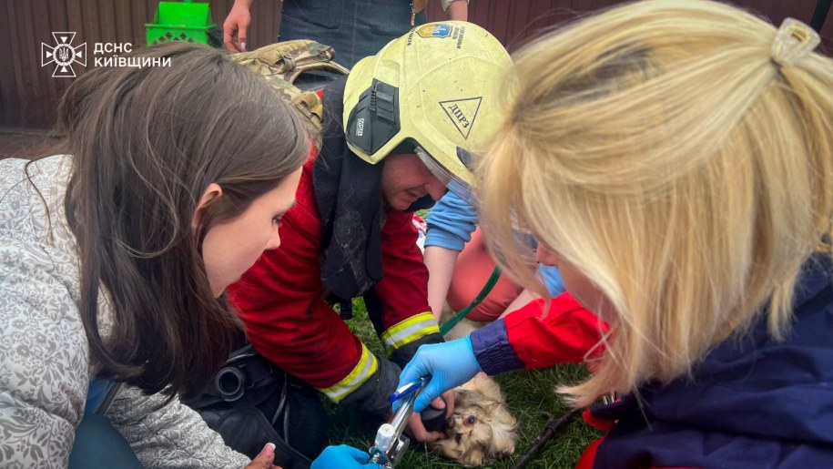 /Państwowa Służba Ratownicza Ukrainy  /