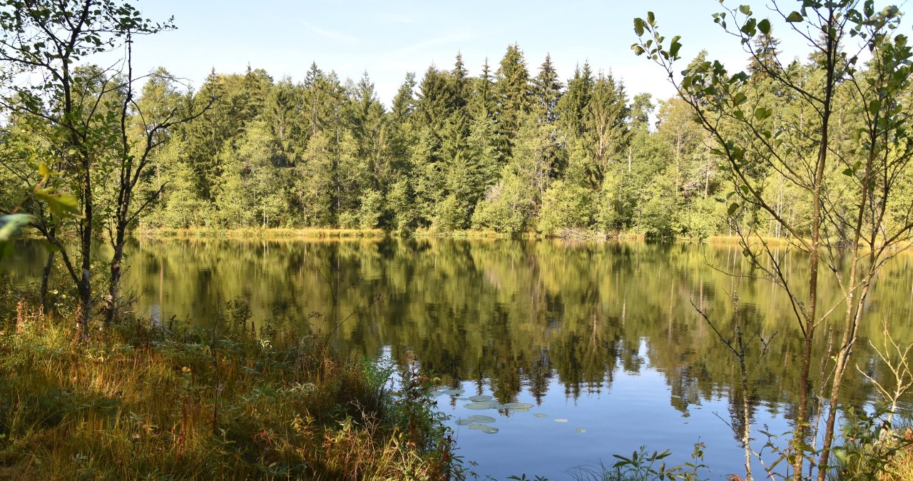 Zorza i droga mleczna jak na dłoni. Od maja to świetny kierunek na urlop