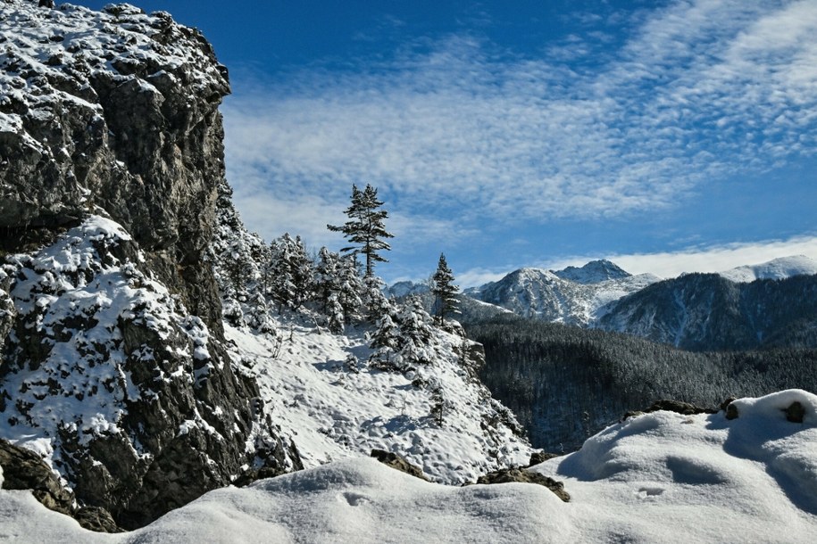 /Pawel Murzyn/East News /East News