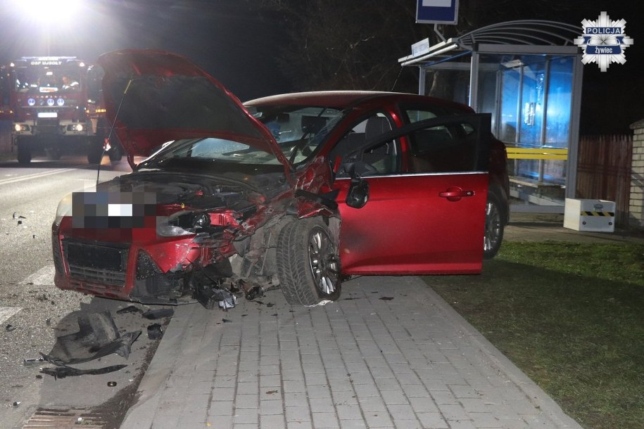 /Śląska policja /