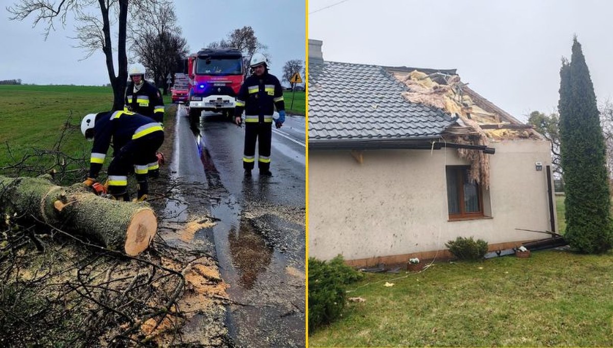 Powalone drzewa, nadłamane konary. Pracowite święta strażaków