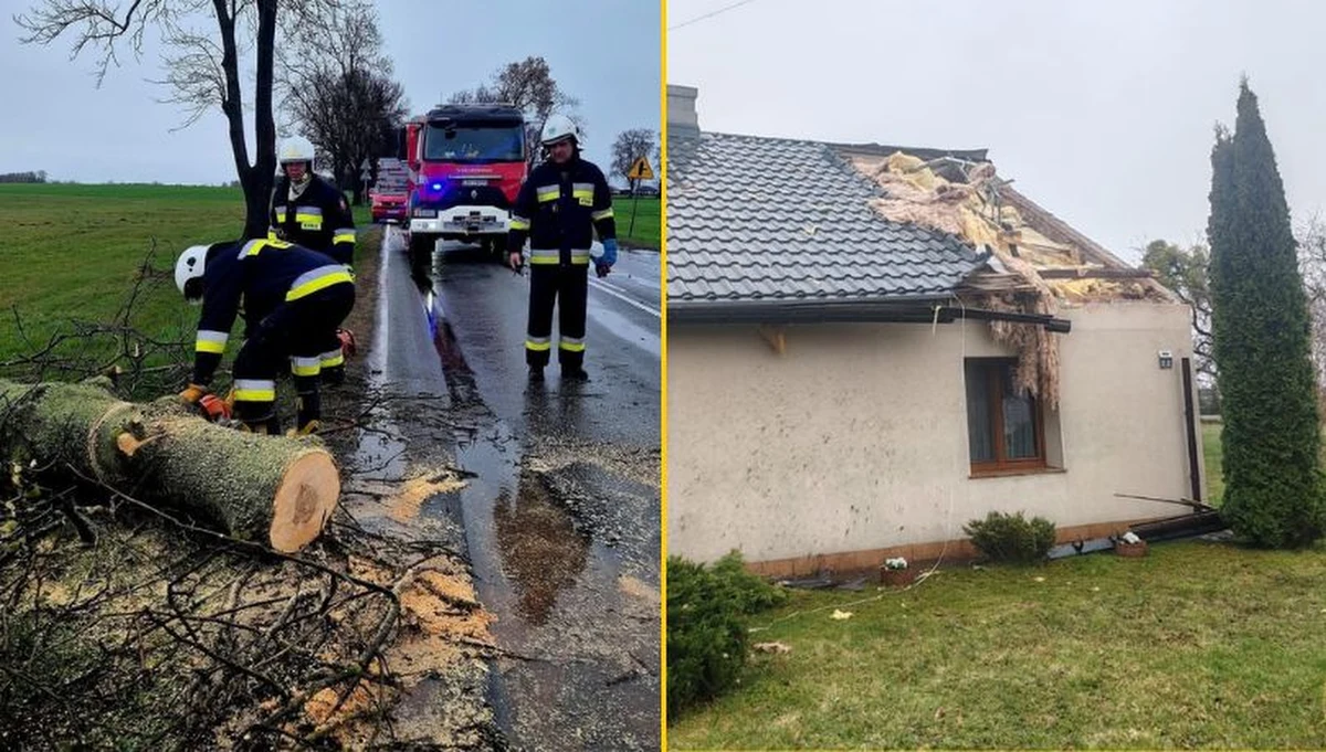 Z powodu silnego wiatru strażacy na Pomorzu interweniowali 41 razy od niedzieli do poniedziałku - przekazał st. kpt. Andrzej Piechowski z Komendy Wojewódzkiej Państwowej Straży Pożarnej w Gdańsku. Dla północnej części regionu IMGW wydał ostrzeżenia II stopnia. Podobnie sytuacja wygląda także w innych regionach Polski. W Warszawie drzewo spadło na dom jednorodzinny. 