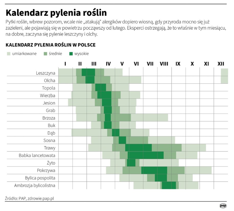/	Adam Ziemienowicz /PAP