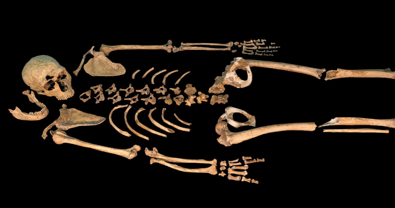 Cmentarz neandertalczyków we Francji? To wbrew temu, co mówiła nauka
