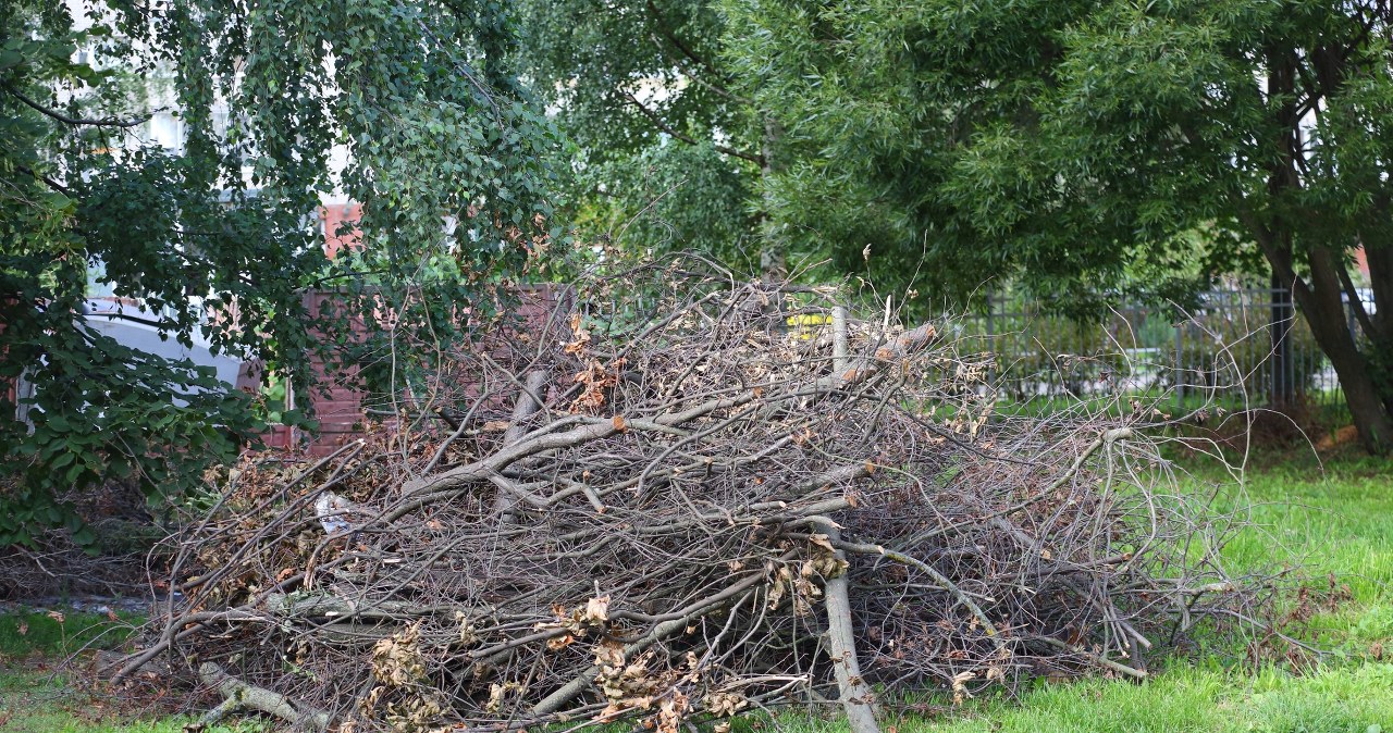 Palenie gałęzi na działce zabronione. Mandat do 500 zł i aktualne przepisy