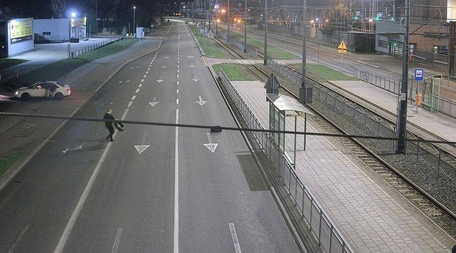 /Straż miejska w Elblągu /Facebook