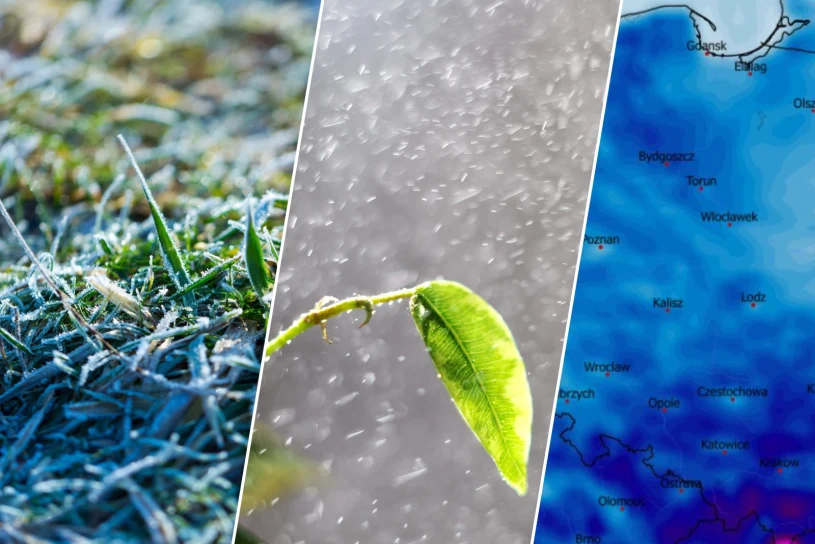 Tydzień do końca na minusie. Miejscami przymrozki zyskają prawdziwą moc