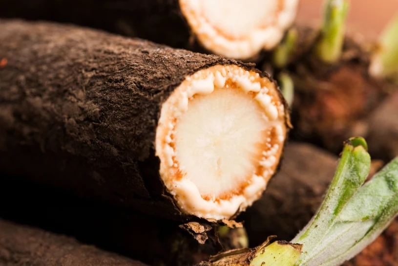 Wygląd nie zachwyca, ale smak jest niezwykły. Jedz zamiast ziemniaków