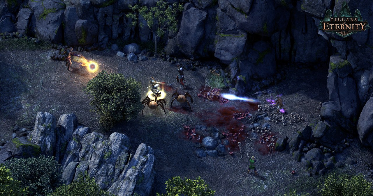 Pillars of Eternity dostało tryb turowy. 10 lat po premierze