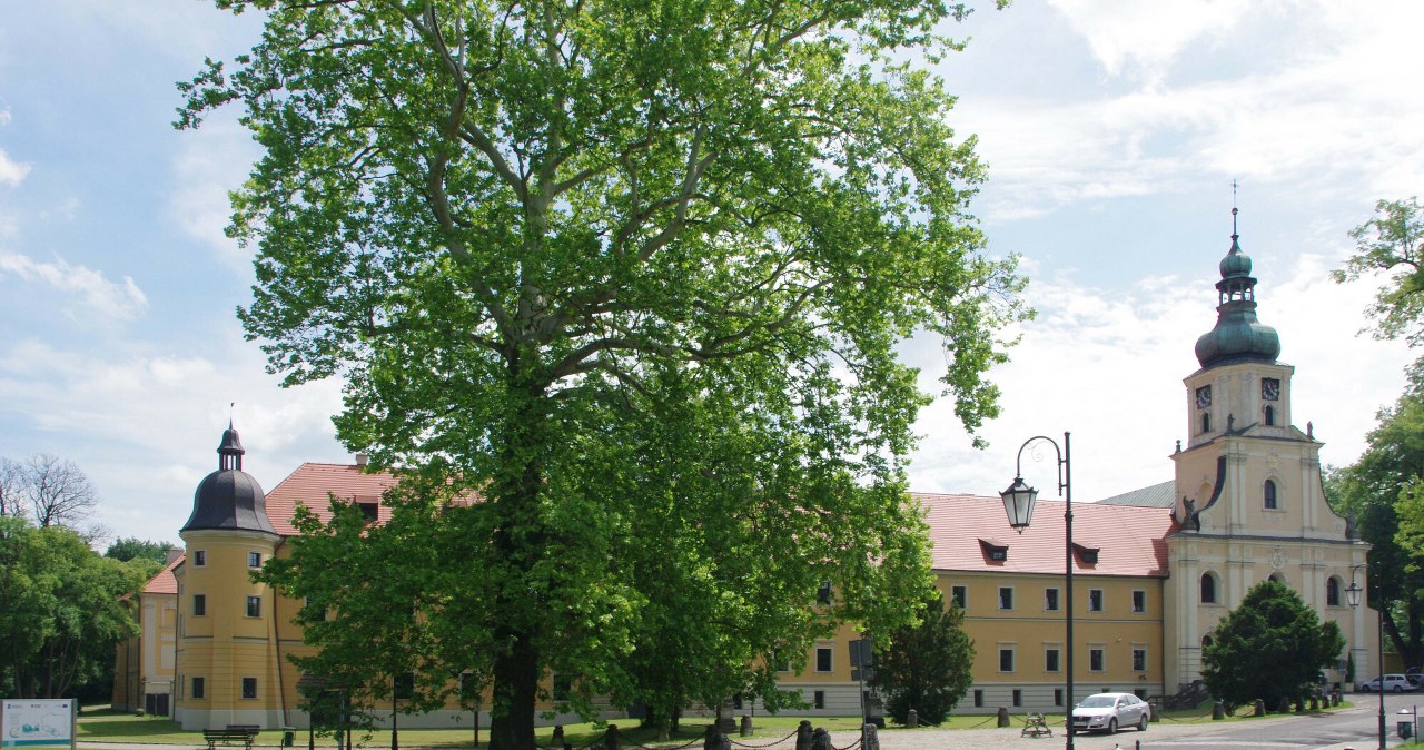 Ukryta perełka Górnego Śląska. Malownicza wieś idealna na wypad za miasto