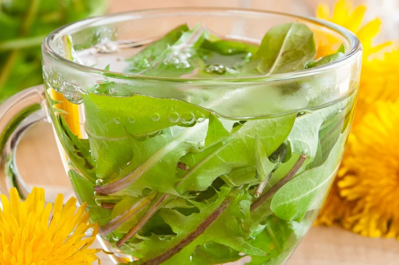 Oczyść organizm z toksyn za darmo. Silne wsparcie dla wątroby i trawienia