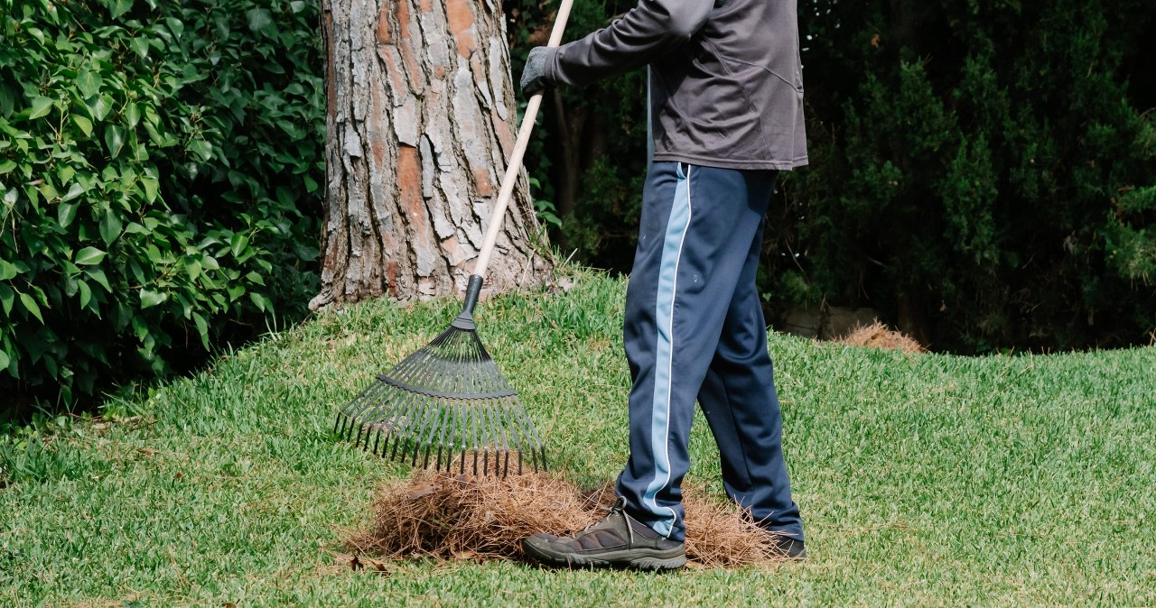 Nie zapomnij o tym w kwietniu. Trawnik zyska soczysty, zielony kolor