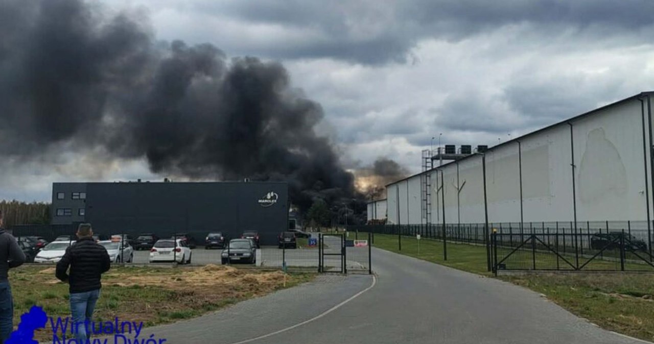 Łomna. Wielki pożar hali produkcyjnej przy trasie S7. Trwa akcja gaśnicza Łomna. Wielki pożar hali produkcyjnej przy trasie S7. Trwa akcja gaśnicza