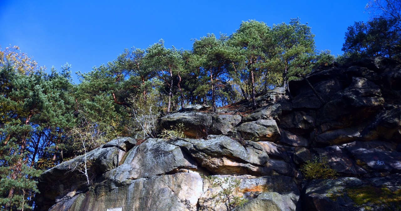 Niezwykły rezerwat niedaleko Krakowa. Warto odwiedzić go wiosną