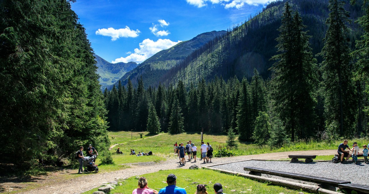 Letni obóz dla dziecka. Firmy dopłacają do wyjazdów
