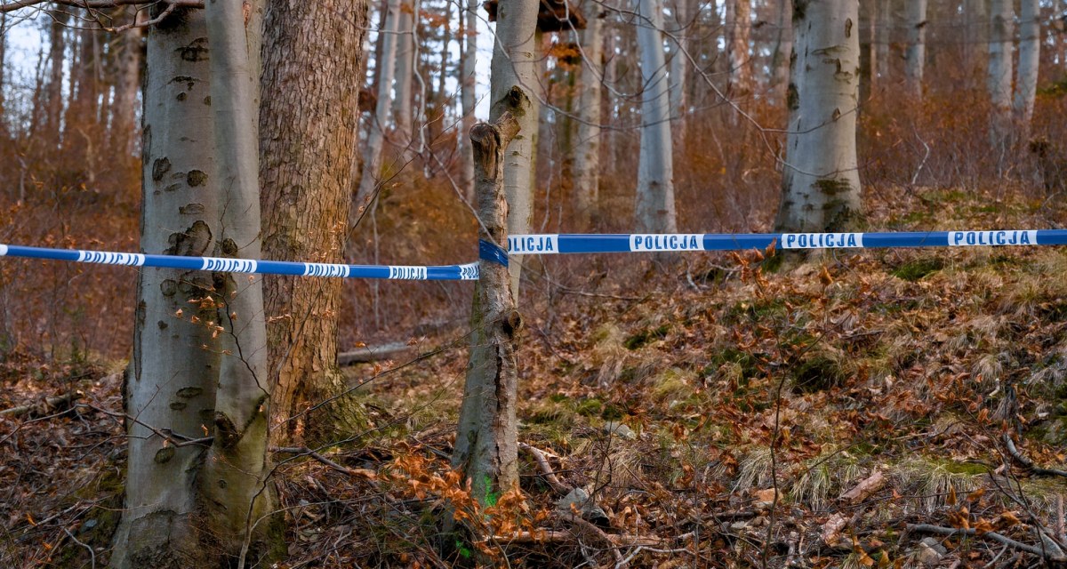 Zadał Izie blisko 50 ran. Archiwum X wraca do koszmaru spod Myszkowa