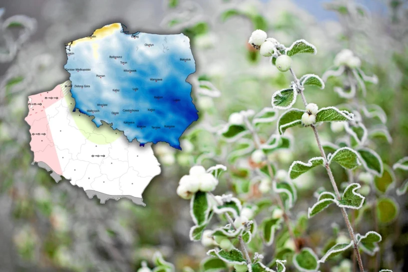 Wiosna wciąż nie odzyskała animuszu. Po zachodzie słońca króluje zima