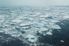 Półwysep Shiretoko. Dzika Japonia