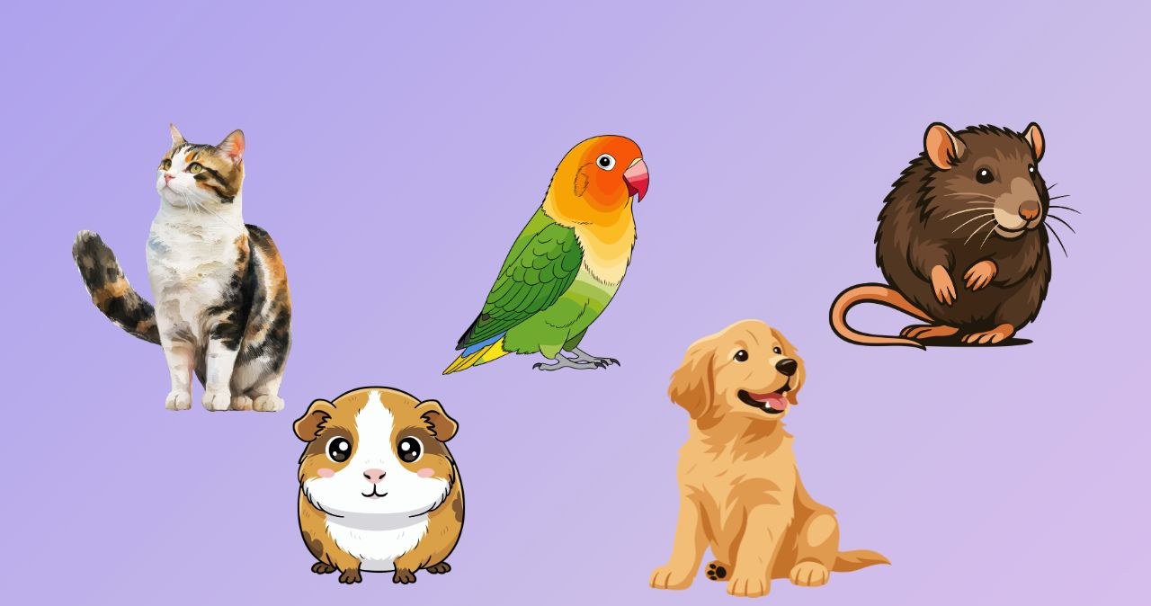 Psychotest: Odkryj swoją mroczną stronę. Wybierz zwierzę i poznaj prawdę