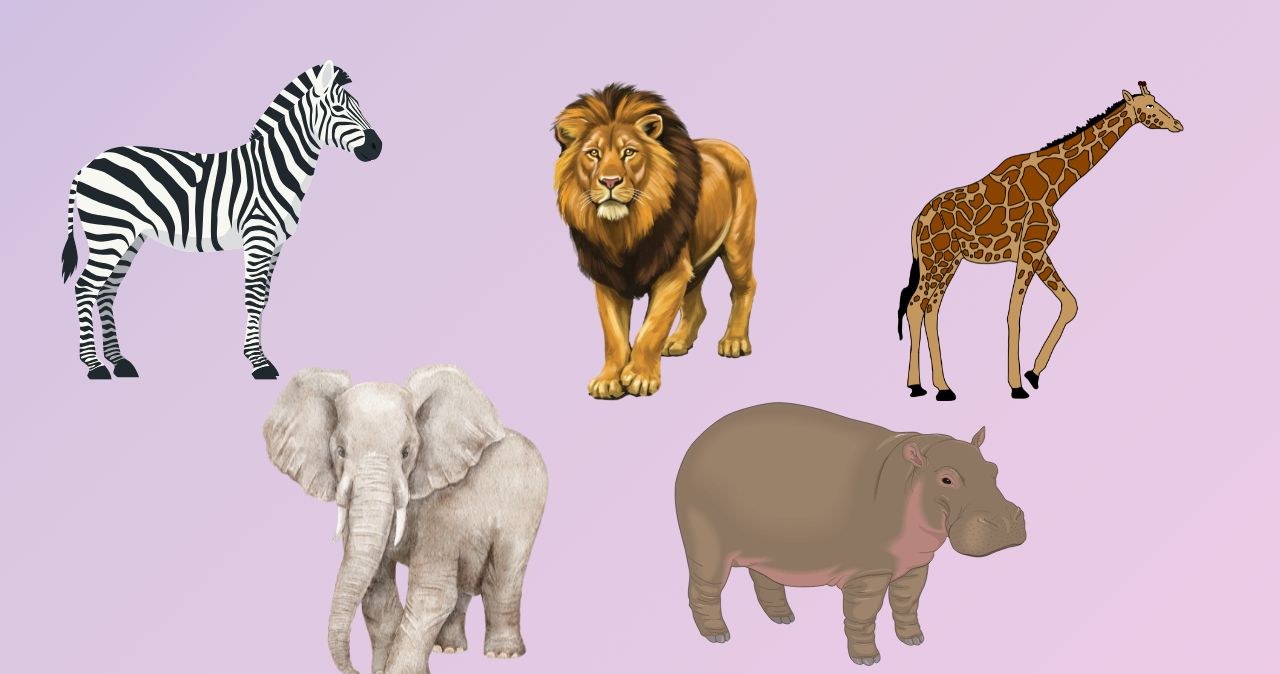 Psychotest: Ten wybór zdradzi, co w tobie jest najbardziej nieprzewidywalne