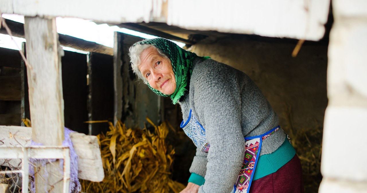 Niewinna sprzedaż jaj? Prawo widzi to zupełnie inaczej