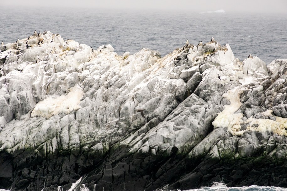 /Foto: Alfred-Wegener-Institut / Simon Dreutter /