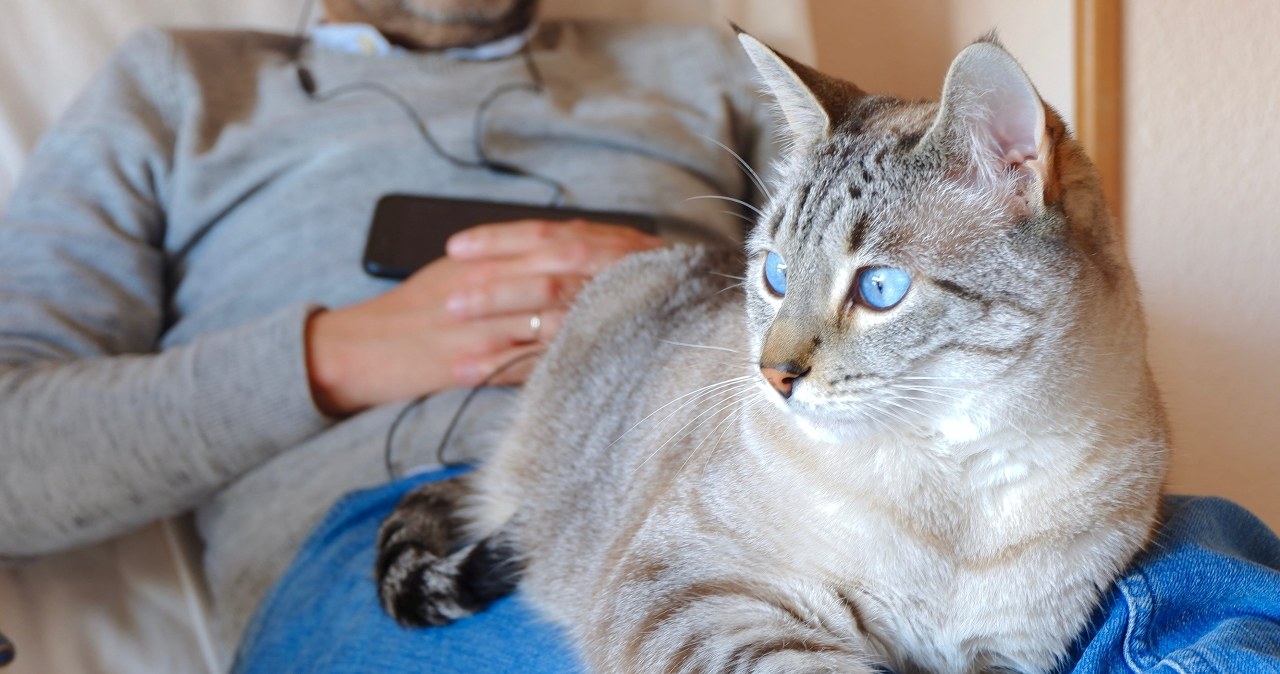 Cztery urocze zachowania kota. Oto co oznaczają