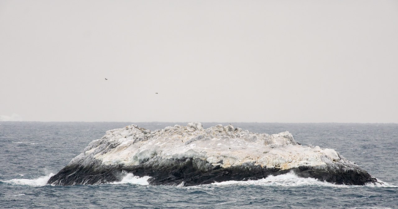 Nowa wyspa odkryta na Antarktyce. Naukowcy zaskoczeni nieznanym lądem