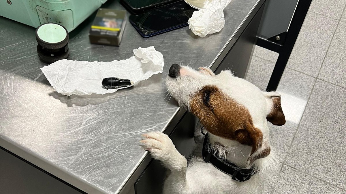 Polak połknął 88 kapsułek kokainy. Szokujący przypadek na lotnisku w Gdańsku