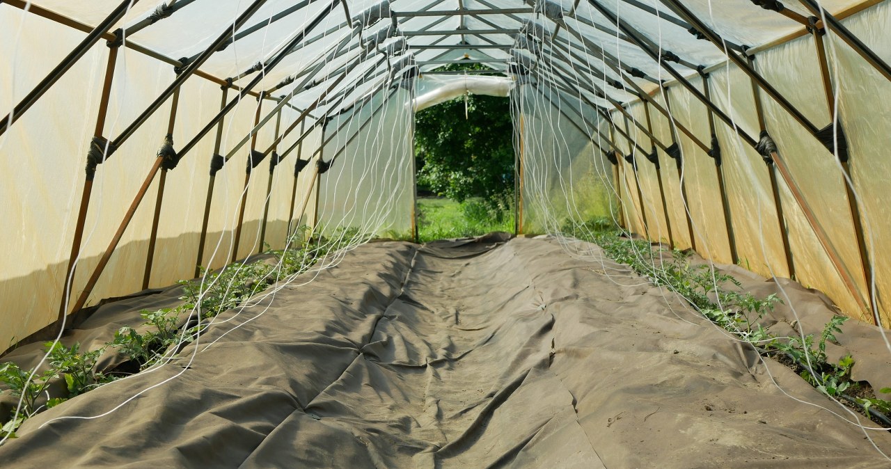 PIORiN kontroluje rolników. Te błędy mogą kosztować choćby 10 tys. złotych