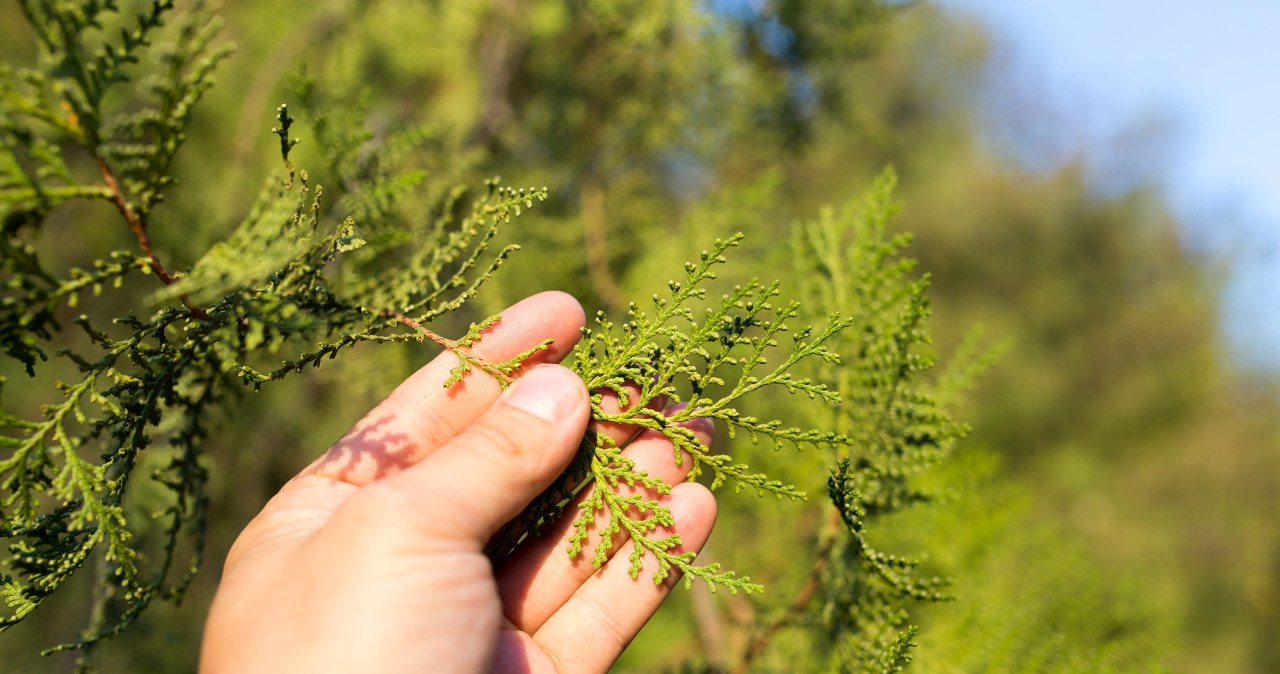 Błąd, który kosztuje tuje mnóstwo wysiłku. Nigdy im tego nie funduj