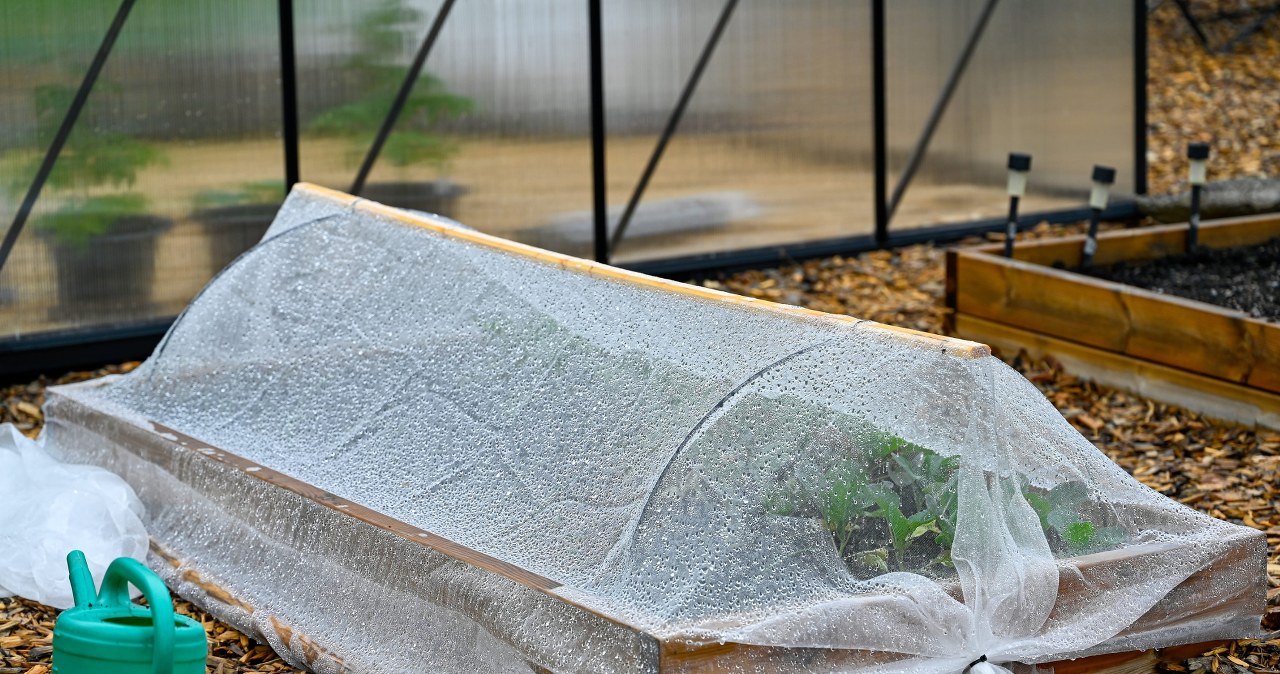 Co wysiewamy do inspektów w kwietniu? Lista jest długa