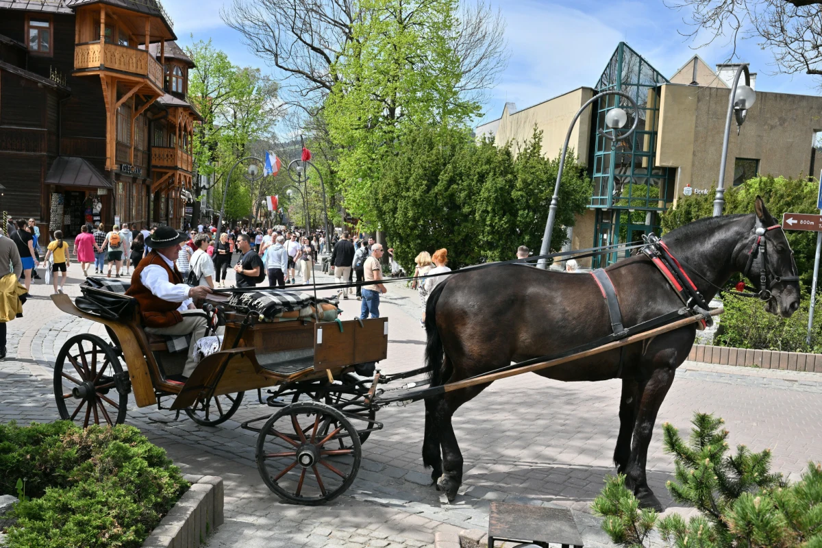 Do początku majówki pozostało nieco ponad dwa tygodnie, a podtatrzańskie pensjonaty i hotele już teraz notują rekordowe zainteresowanie. Polacy, spragnieni wiosennego wypoczynku, rezerwują miejsca w błyskawicznym tempie. Czy w tym roku zabraknie miejsc pod Tatrami i jak kształtują się ceny?