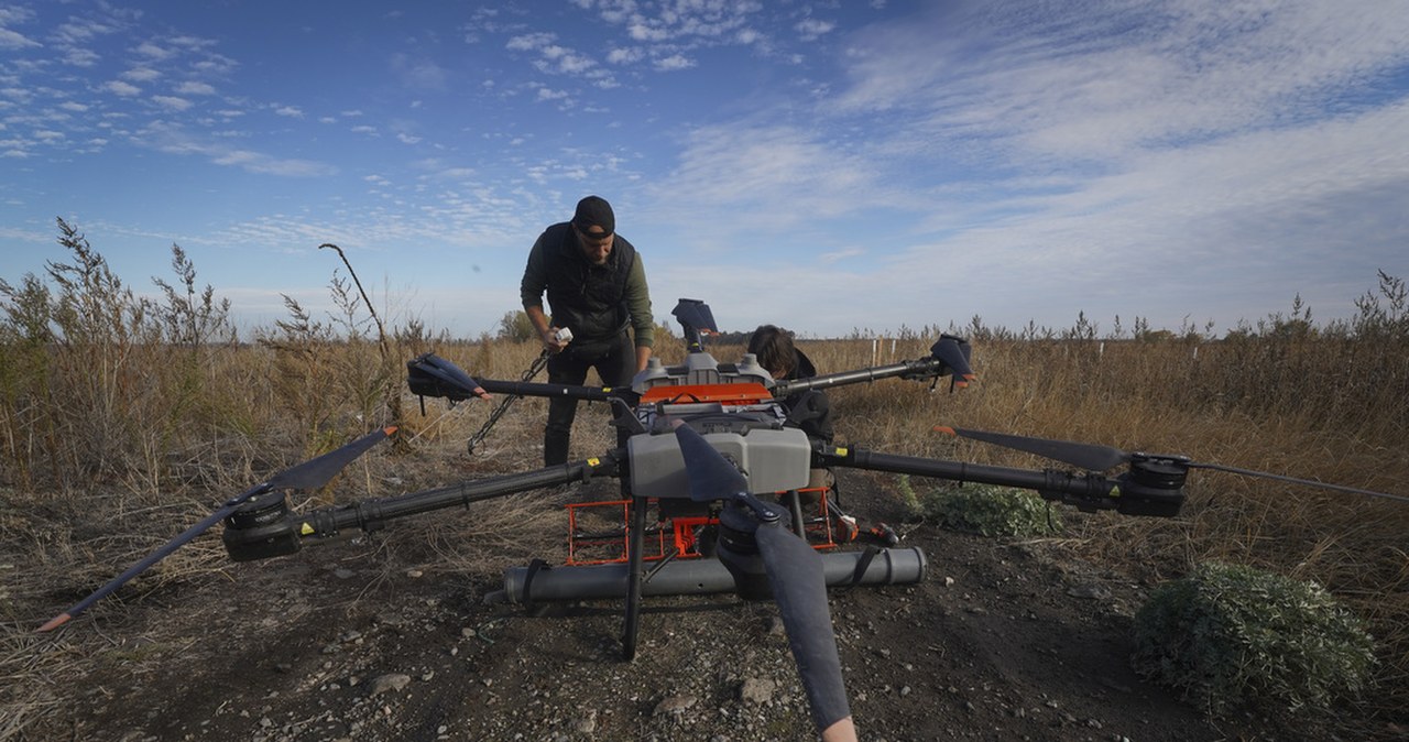 Propaganda Rosji przechodzi do ofensywy. Oskarżają państwa bałtyckie