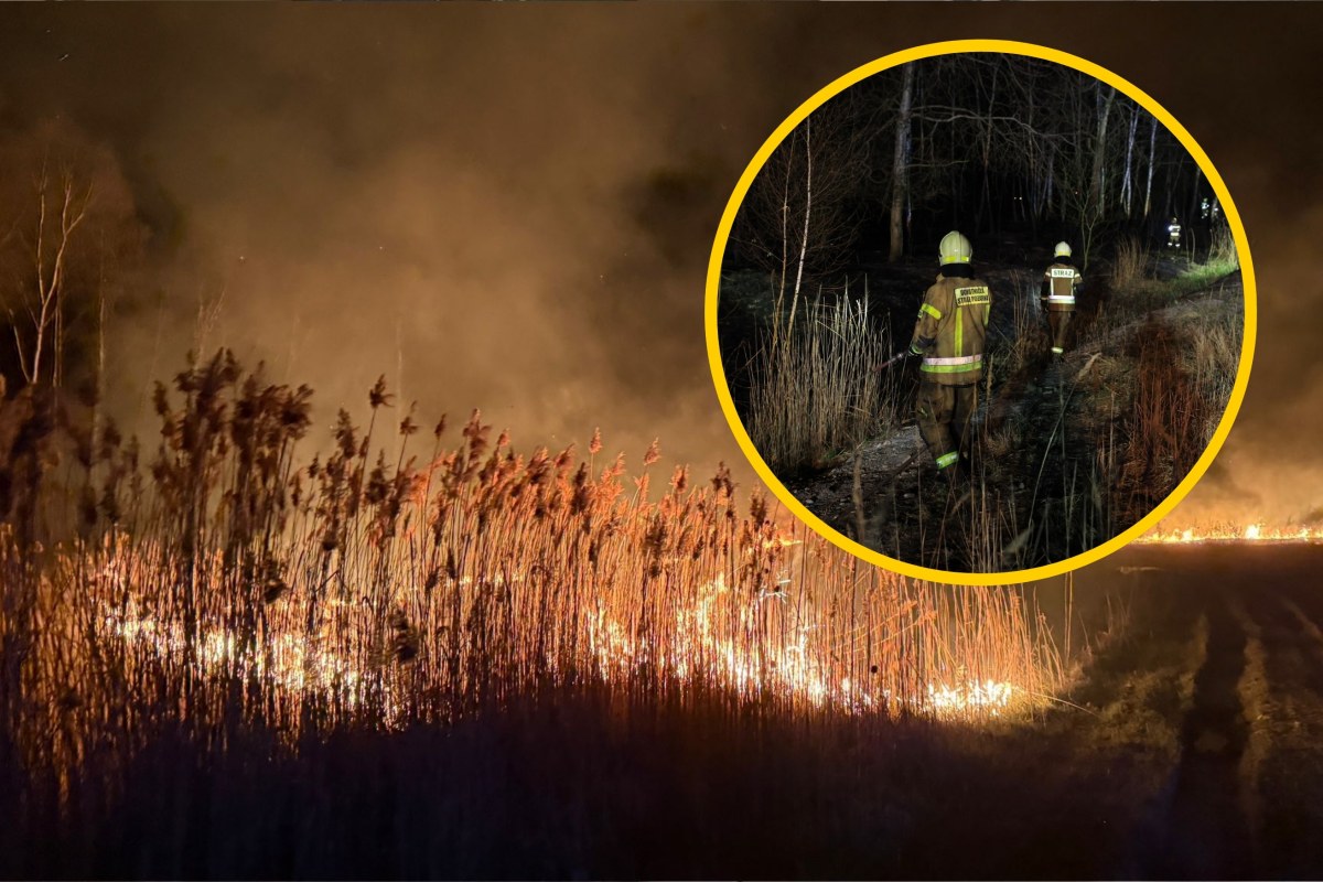 Duży pożar w Lędzinach. Straż przypomina o surowych karach